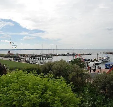Knurrhahn Timmendorfer Strand